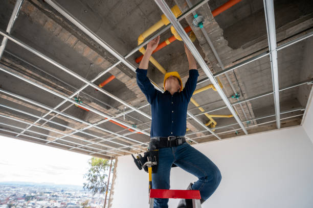 Best Affordable Plumber Near Me  in Western Springs, IL