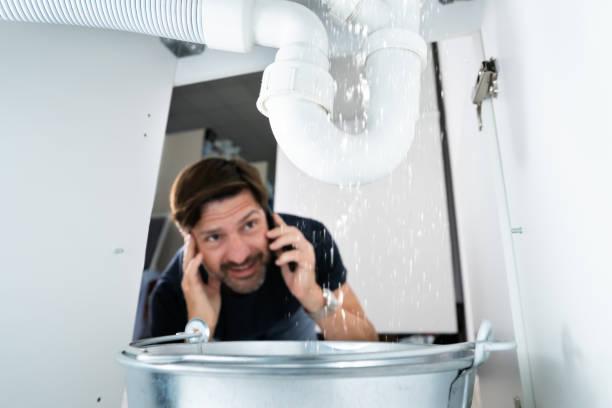Best Residential Plumbing Services  in Western Springs, IL