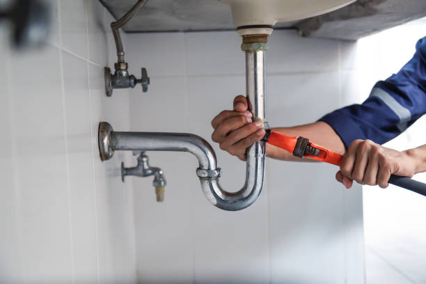 Best Shower Repair Services  in Western Springs, IL