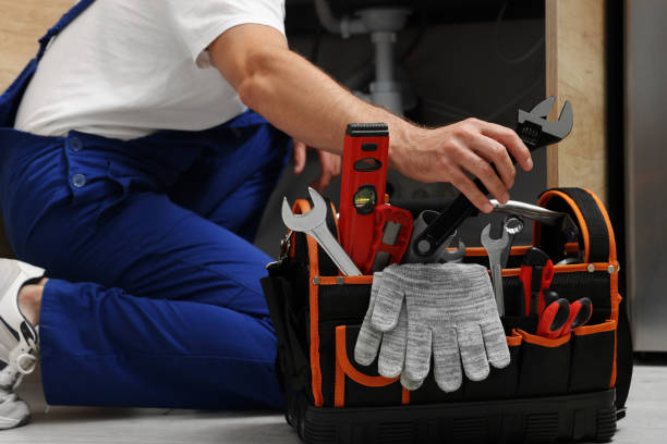 Best Clogged Drain Plumber  in Western Springs, IL