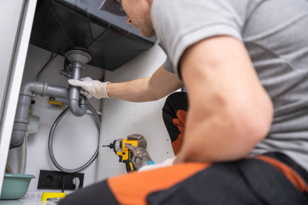  Western Springs, IL Plumbing Pros
