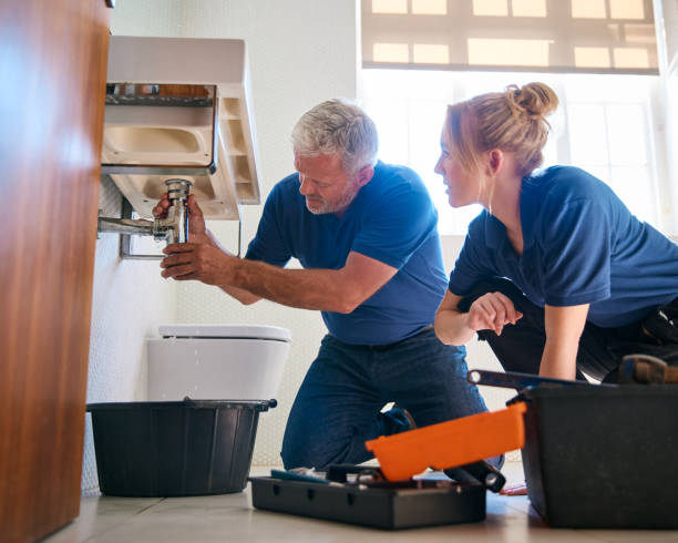 Best Plumbing Installation Services  in Western Springs, IL